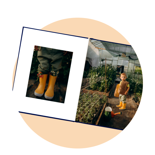 reward-card_img